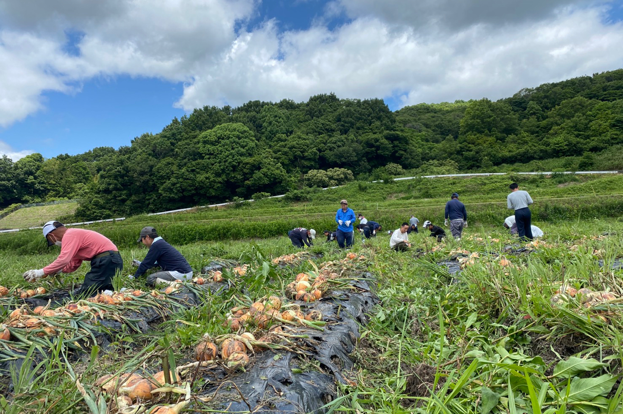 生産活動・就労支援部会イメージ